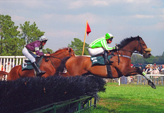 Radnor Hunt